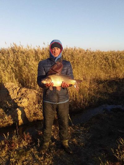  Gering,   , 32 ,   ,   