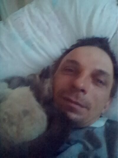  ,   , 44 ,   
