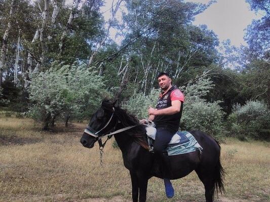  ,   UFC, 38 ,   
