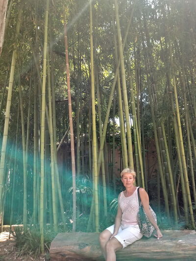  ,   , 60 ,   ,   , c 