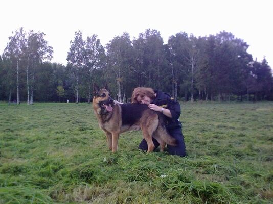  ,   Svetlana, 52 ,   ,   , c 