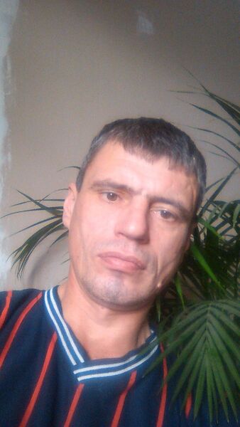  ,   , 49 ,     , c 