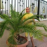 ,   Dorel, 39 ,   ,   , c 