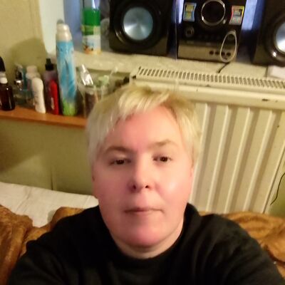  -,   , 40 ,     