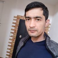  ,   Zamir, 36 ,   ,   , c 
