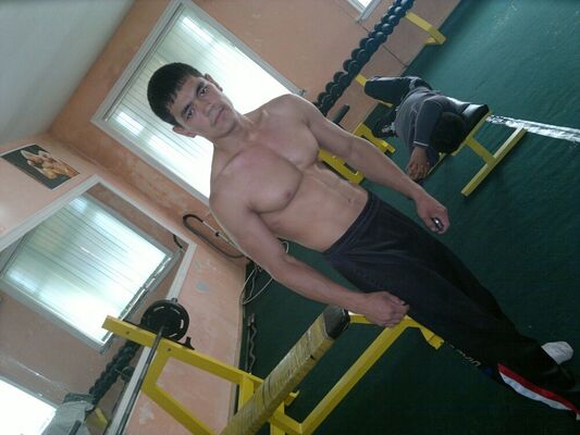  ,   PitBul, 37 ,   ,   , c , 