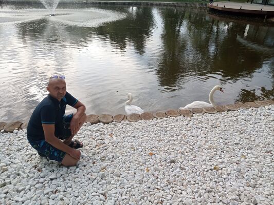  ,   , 49 ,   ,   
