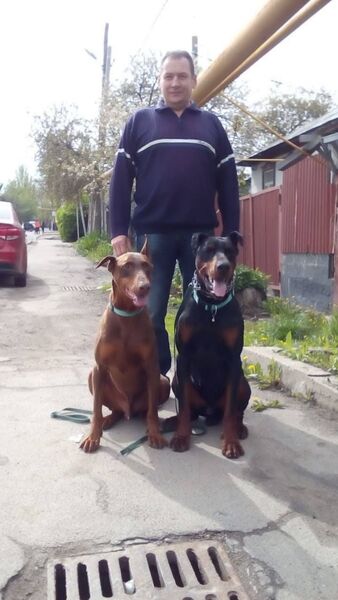  ,   , 54 ,   ,   , c , 