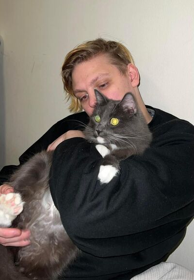  ,   German, 29 ,   ,   , 