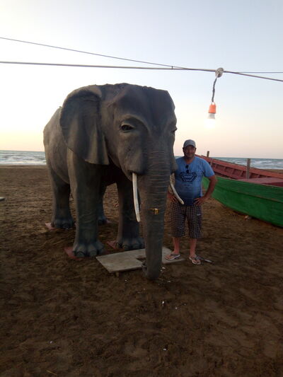  ,   Nasib, 41 ,   ,   , c 