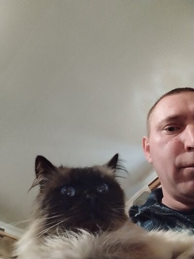  -,   , 43 ,   , 
