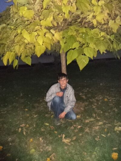  -,   , 34 ,   