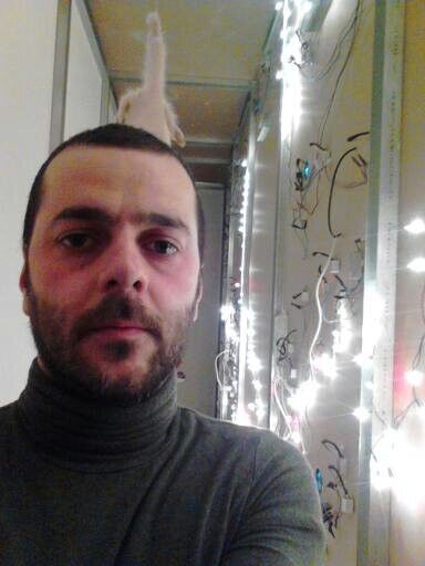  12812394  MURMAN, 40 ,    
