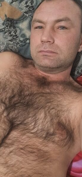  ,   , 41 ,   ,   