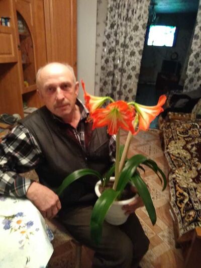  ,   , 75 ,  