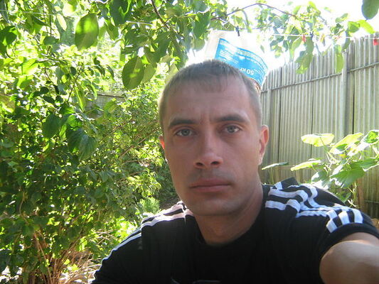  ,   , 41 ,   c 