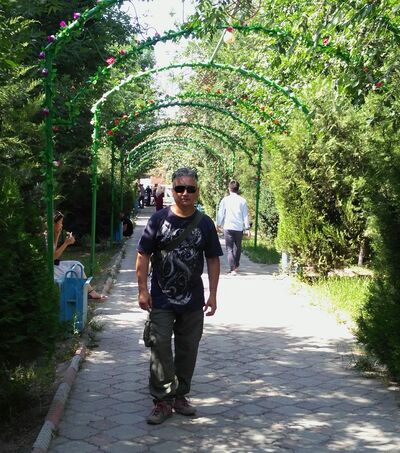  -,   rman, 50 ,   ,   , c , 