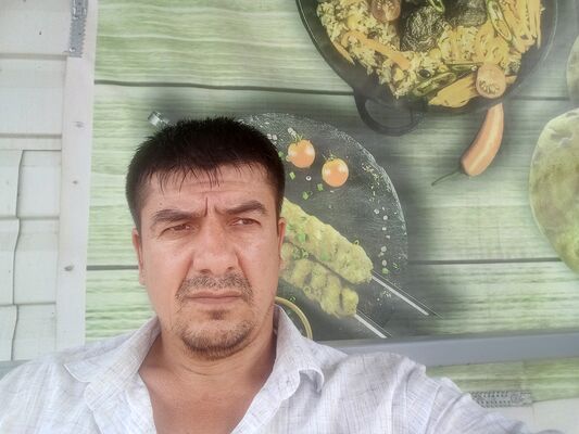  --,   , 42 ,     , c , 