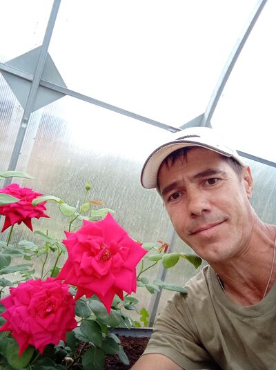  ,   , 46 ,     , c 