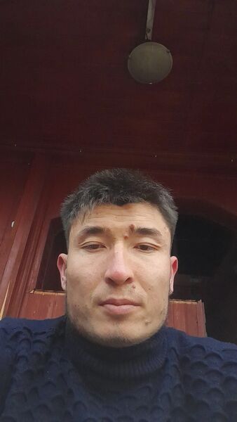  ,   Roma, 24 ,   ,   