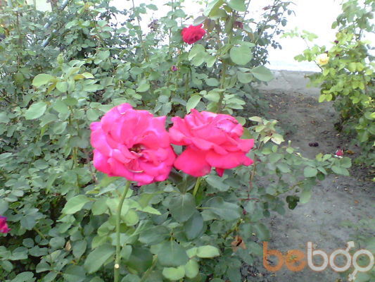 ���������� ��������, ���� ������� ����, 31 ���, ������������ ��� ����� � ���������, c�������� ���������