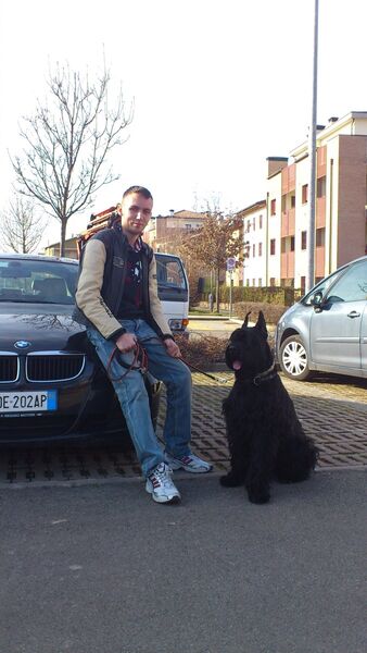  ,   Likko, 31 ,     , c 