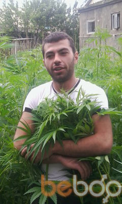  1882444  Sevo, 34 ,    