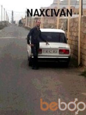 ���������� ����, ���� ������� EMIL, 40 ���, ������������ ��� ������, ����� � ���������, c�������� ���������