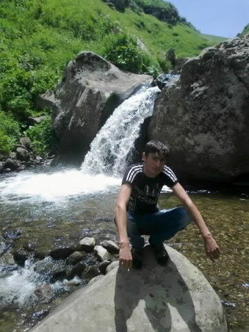  8029714  Vl JAN, 31 ,    