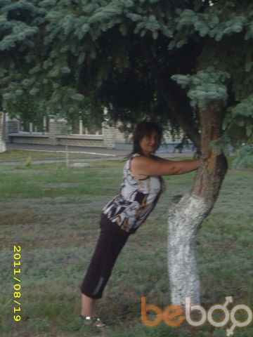  ,   , 54 ,  