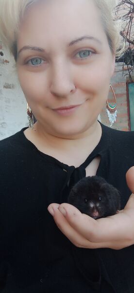  ,   , 41 ,   
