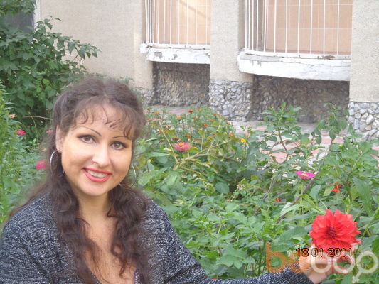  ,   , 48 ,  