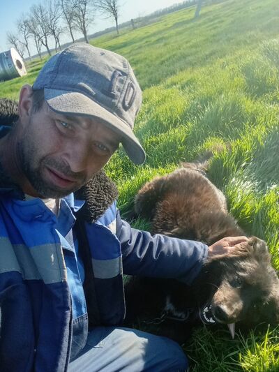  --,   Aleksei, 39 ,   ,   , c 