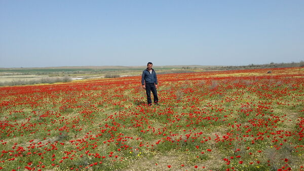  -,   Maqsud, 40 ,   ,   , c 