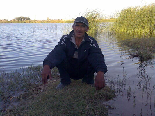  ,   , 56 ,     , c , 