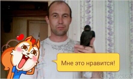  -,   , 43 ,   ,   , c 