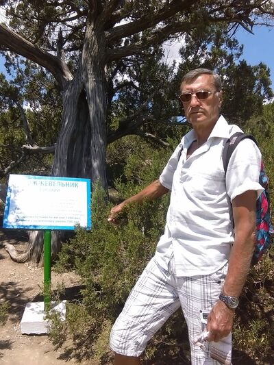  ,   , 74 ,   ,   , c , 