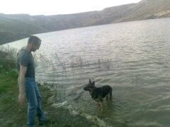 ���������� ������, ���� ������� ������, 51 ���, ������������ ��� ������, ����� � ���������, c�������� ���������