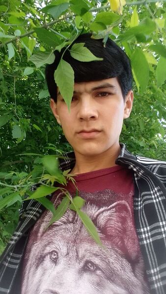  -,   , 24 ,   c , 