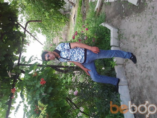  ,   MUSHEX, 34 ,   