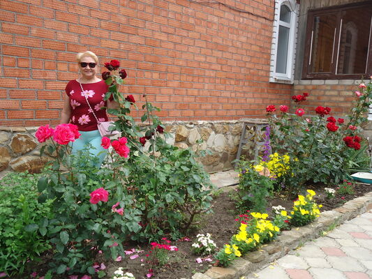  ,   , 58 ,     , c 