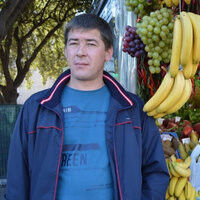  Rome,   Ivan, 48 ,   ,   , c 