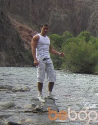  3668584  , 39 ,    -
