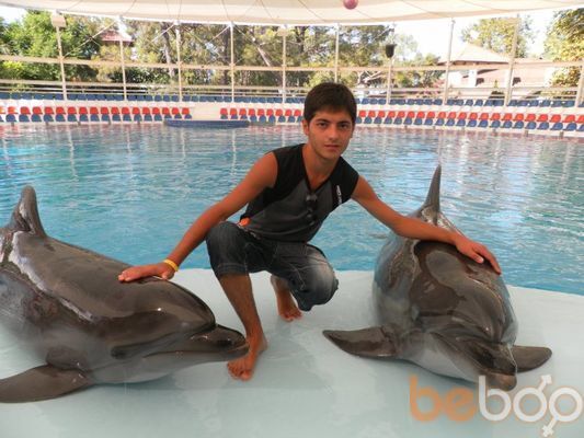 ���������� ����, ���� ������� Elwen, 33 ����, ������������ ��� ������