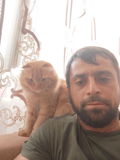 ,   , 35 ,   ,   
