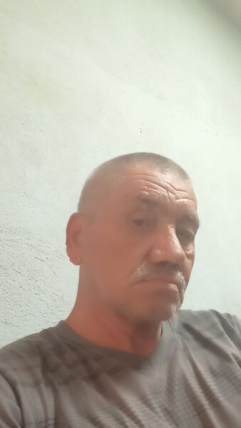  ,   Vladimir, 63 ,     , c 