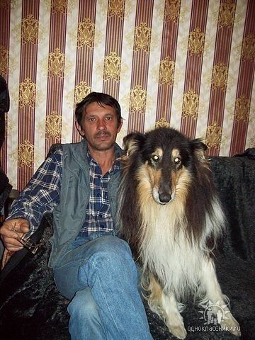  ,   , 61 ,   