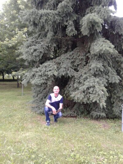  ,   , 56 ,     , c 