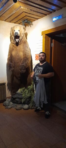  ,   , 39 ,   ,   