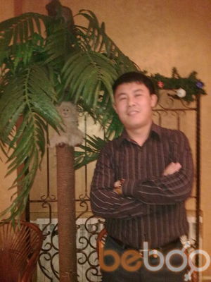  ,   , 43 ,   
